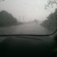 I fell out of love with everything