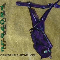 Melange de la Chauve Souris