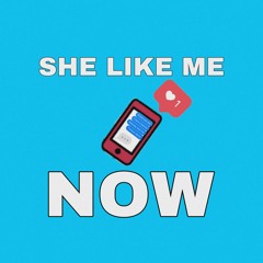 She Like Me Now (Prod. Fly Melodies)