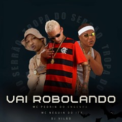 VAI ROBOLANDO, MCS PEDRIN DO ENG & NEGUIN DO ITR - DJ VILÃO