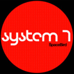 System 7 - Space Bird (Dubfire's unreleased remix) cut