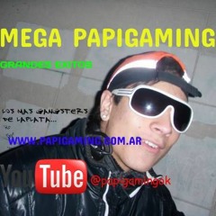 MEGA PAPIGAMING