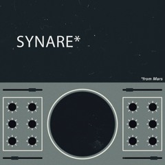 Synare_01