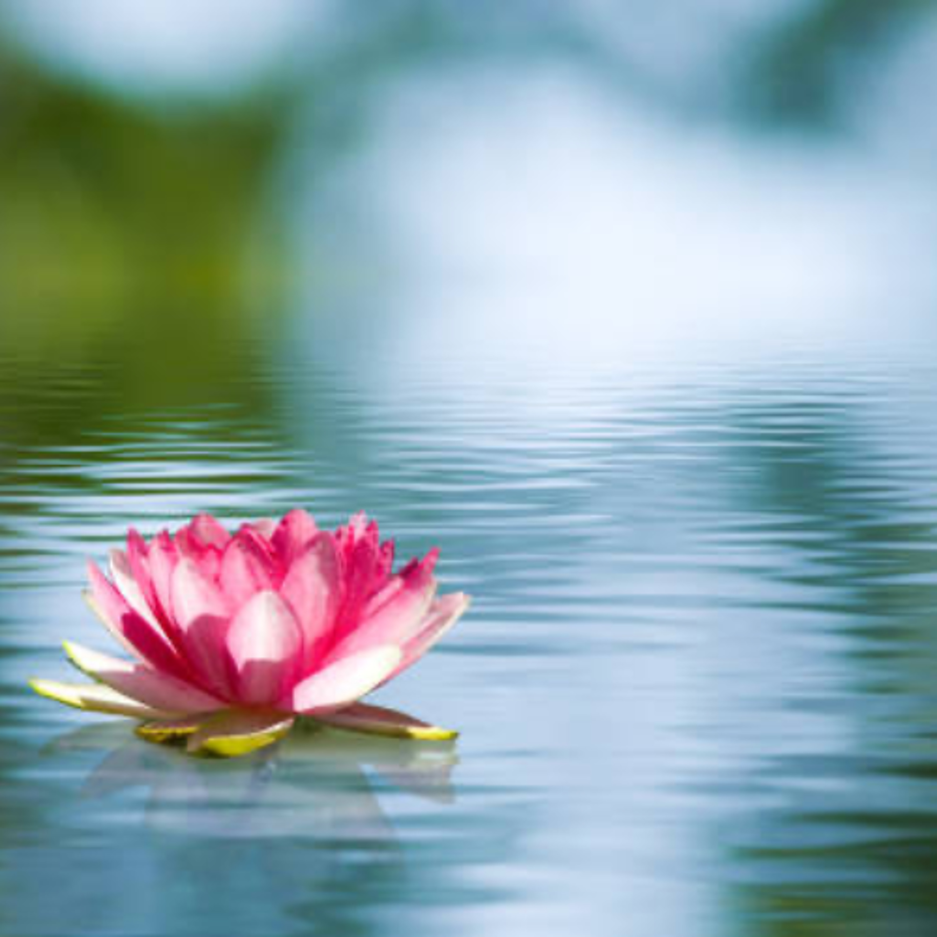 Radio Gandharva Gana