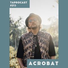 TAPROCAST 213 | ACROBAT