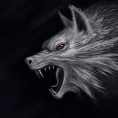 DuceTheMaker Ft Leme - Wolves.mp3