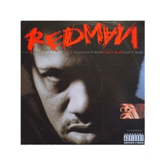 Redman - I Can't Wait (Source remix)