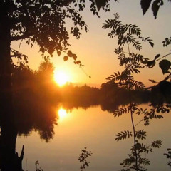 Suveöö - Jaan Lehepuu