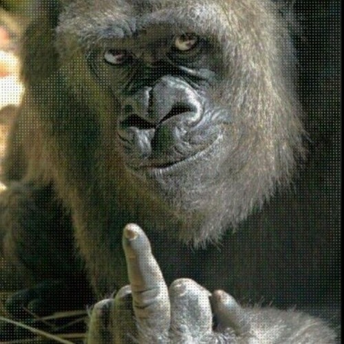 Not the target w/ Locco slims x Mad-Joe x Teo-ego