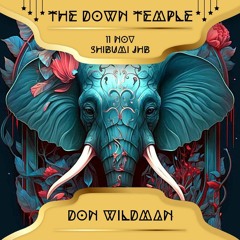 Don Wildman @ The Down Temple 2023