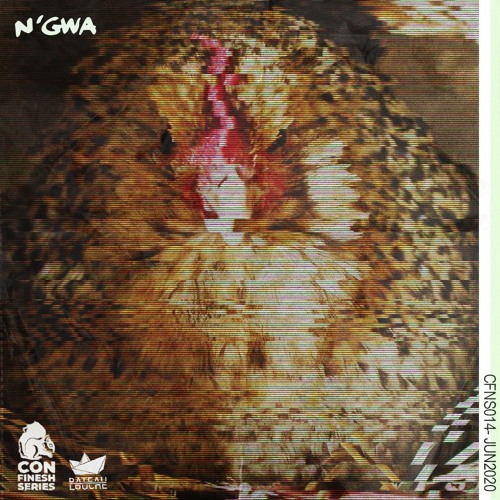 CONFINESH SERIES 014 II INVITE N'GWA