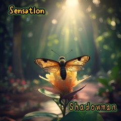 Sensation