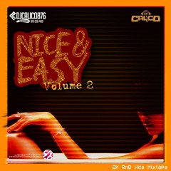 NICE & EASY 2K RNB HITS VOL.2