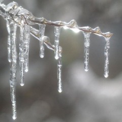 IDKWIB (feat : vversatta)