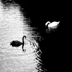 Your side- (with Ant_Misc & JustGioOfficial)