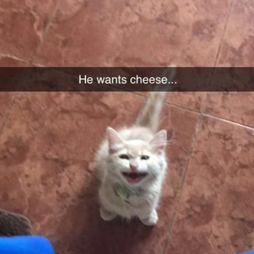 🏩