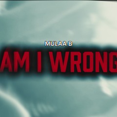 AM I WRONG #FREEMULAAB