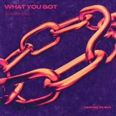 PREMIERE: DJ Hoshino - What You Got [Dancing On Wax]