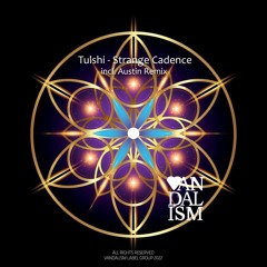 Tulshi - Strange Cadence (Original Mix) - VAN102