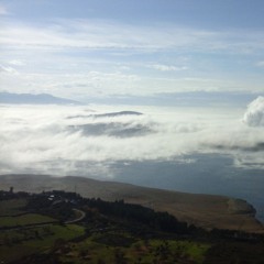 Ni Todo- Inédito 2012- Shameless, Repeatprod, Carrera