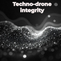 Techno-drone integrity