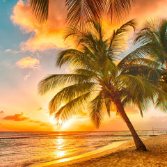 Sunny Days - Shane Manno