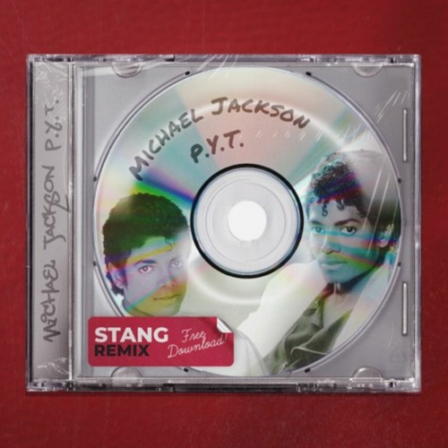 House | P.Y.T. (Stang Remix)