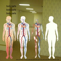 body parts