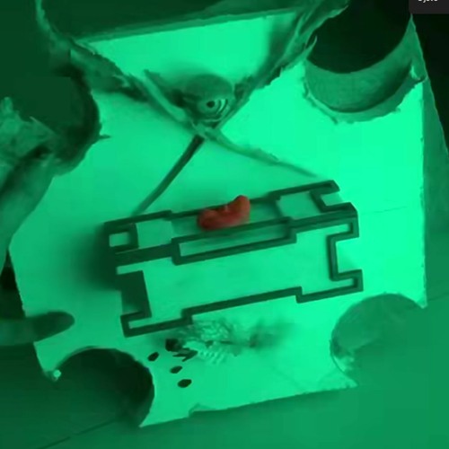 +szkyf/ 11.25 @BORSOS LŐRINC - For the child of the future(excerpt)