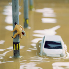 Storm Surge