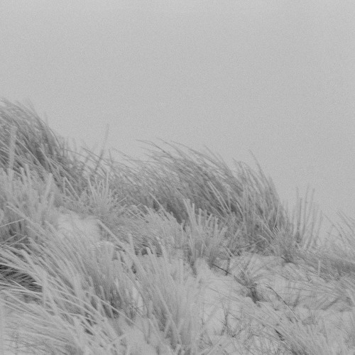 PREMIERE: Archie Gray - 5VAR4-1 [Simpler Times]