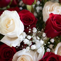 Pop House and Crowd-Pullers - Live Scientia DJ Set