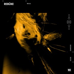 Rebūke – Wasp – Drumcode – DC239