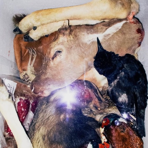 mnk (prod. itm x beacharrows)