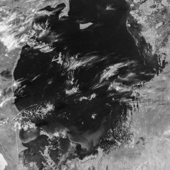 Chambermaiden Swimming in Circles