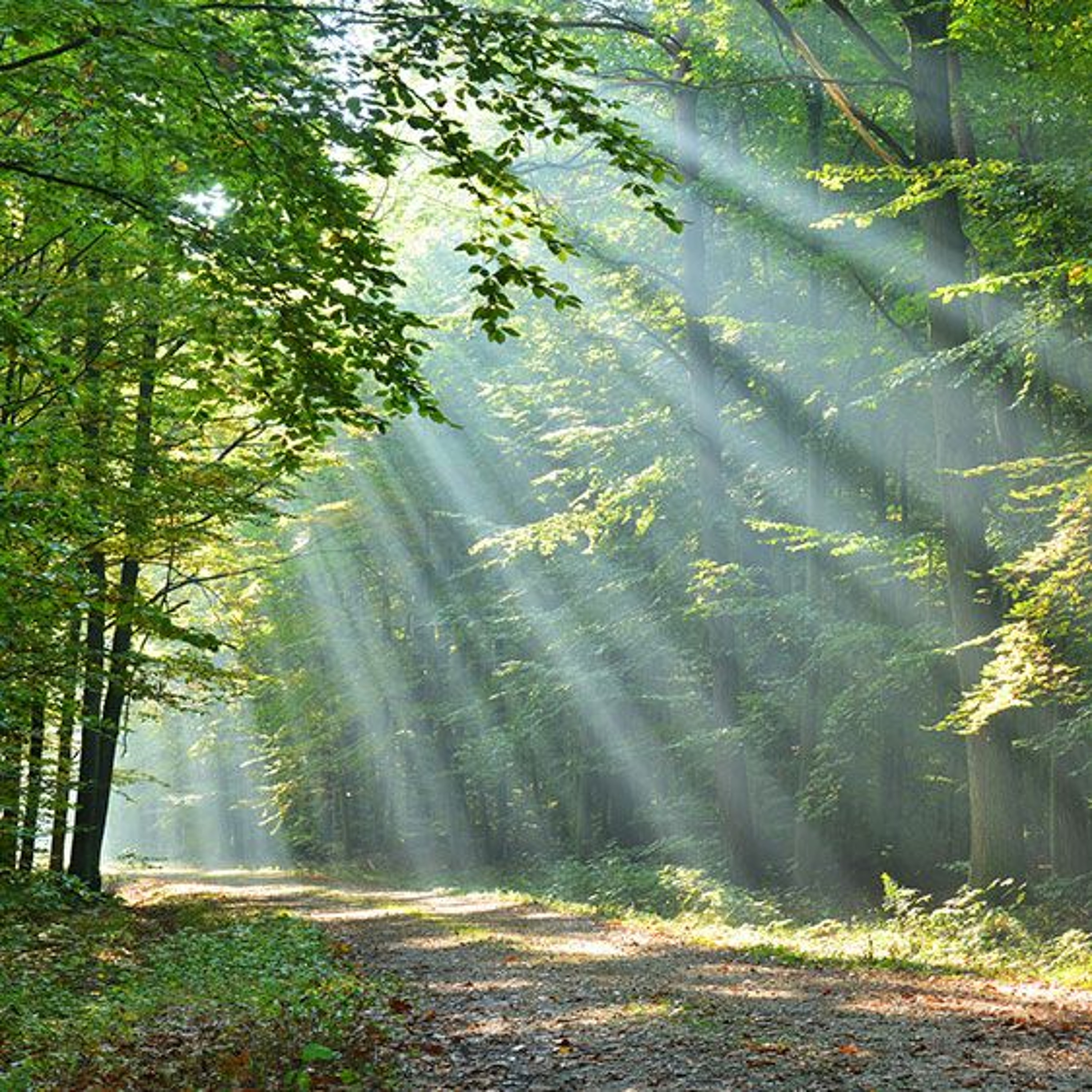 God Surrounds His People