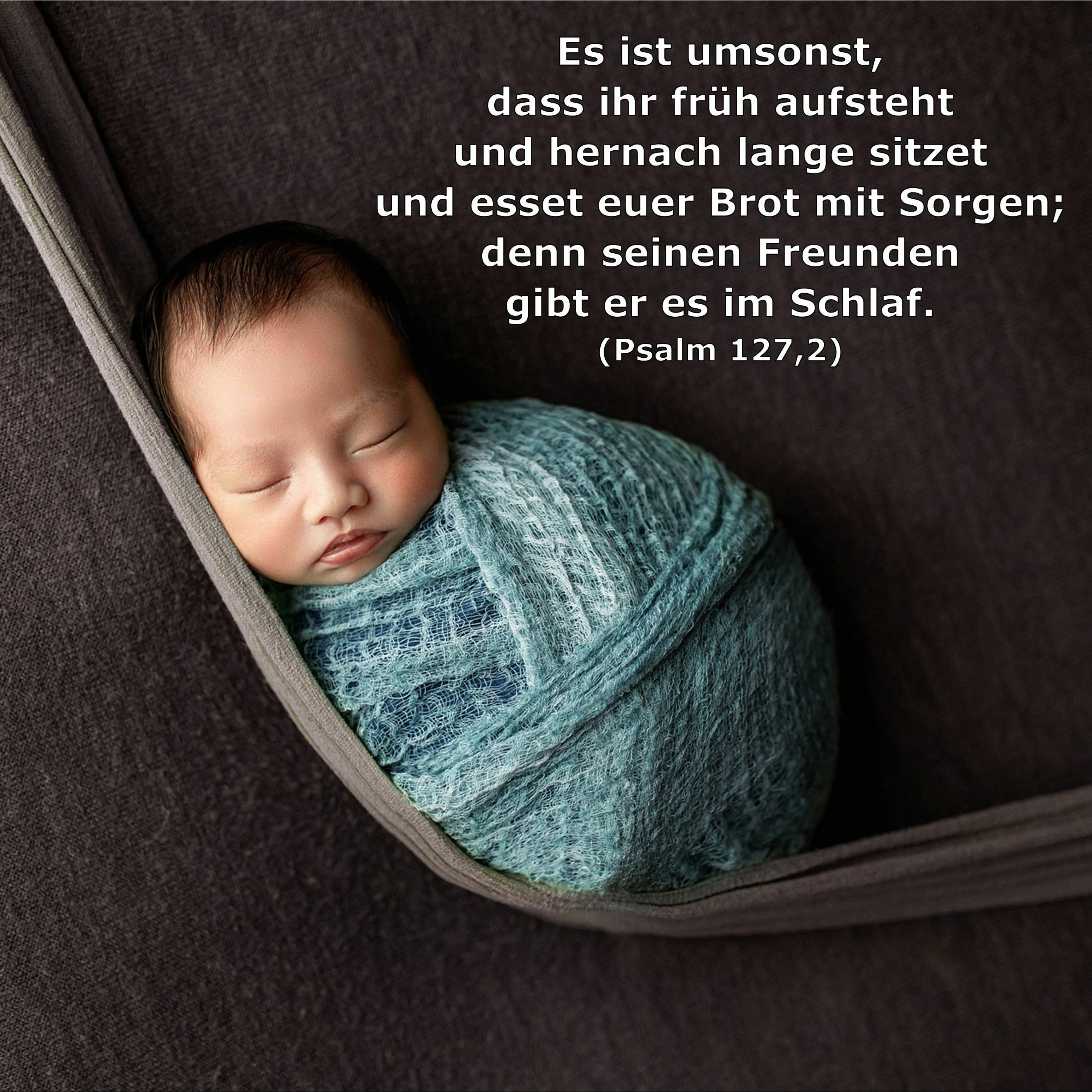 In einem Jahr durch die Bibel