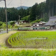 кровь на вкус как железо