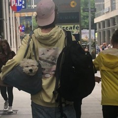 Ausklang