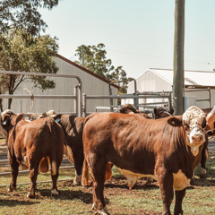 Flower Shops Cover- Kidd Tonez