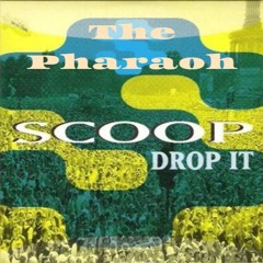 Drop it (Remix)