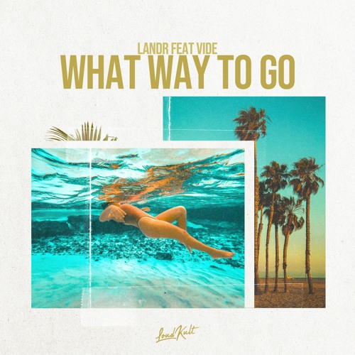 LANDR feat VIDE - What Way To Go