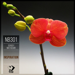 Sergey Matsegor - Inspiration (Original Mix)