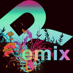 Demo Ban Phoi Vietmix ( Pv 2025 )