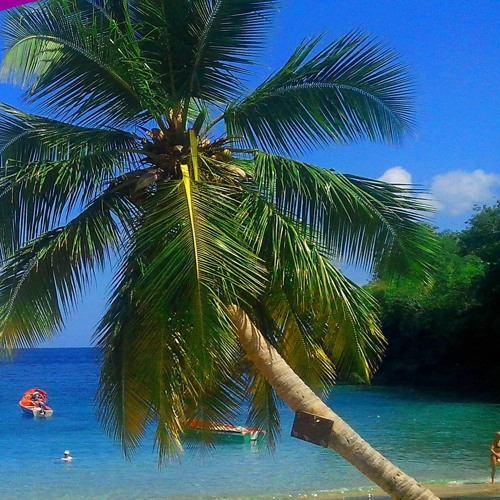 [PDF READ ONLINE]  Martinique: Superbe ?le des Cara?bes aux plages paradisiaques, sable fin et