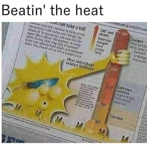 bad bitch (shake ahh in the deli)