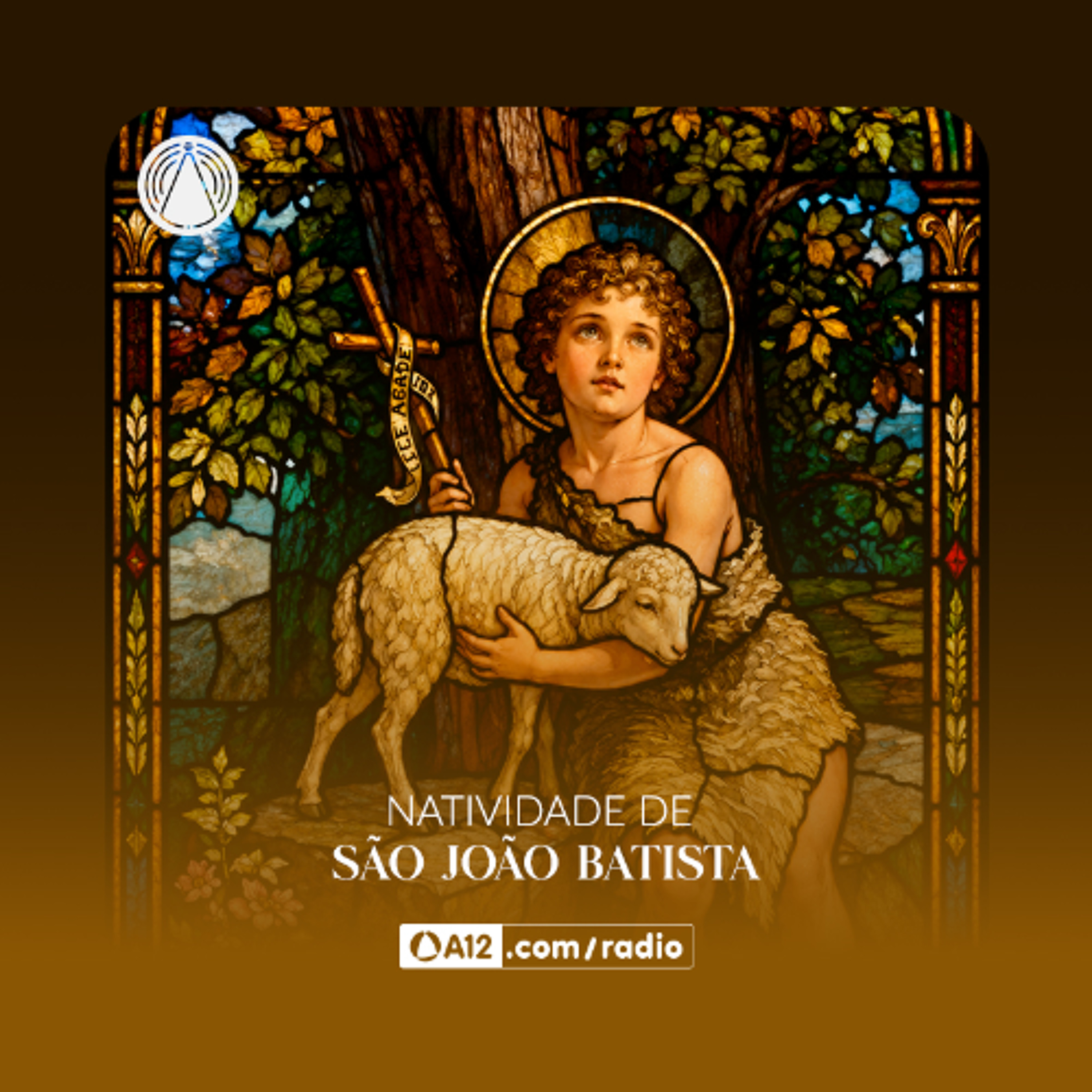 Rádio Aparecida - Natividade de São João Batista: Anunciador do Cristo episode artwork