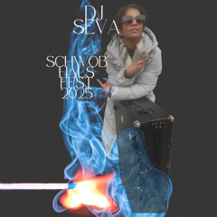 DJSeVa_Schwobhausfest2025_fullset_Soundcloud