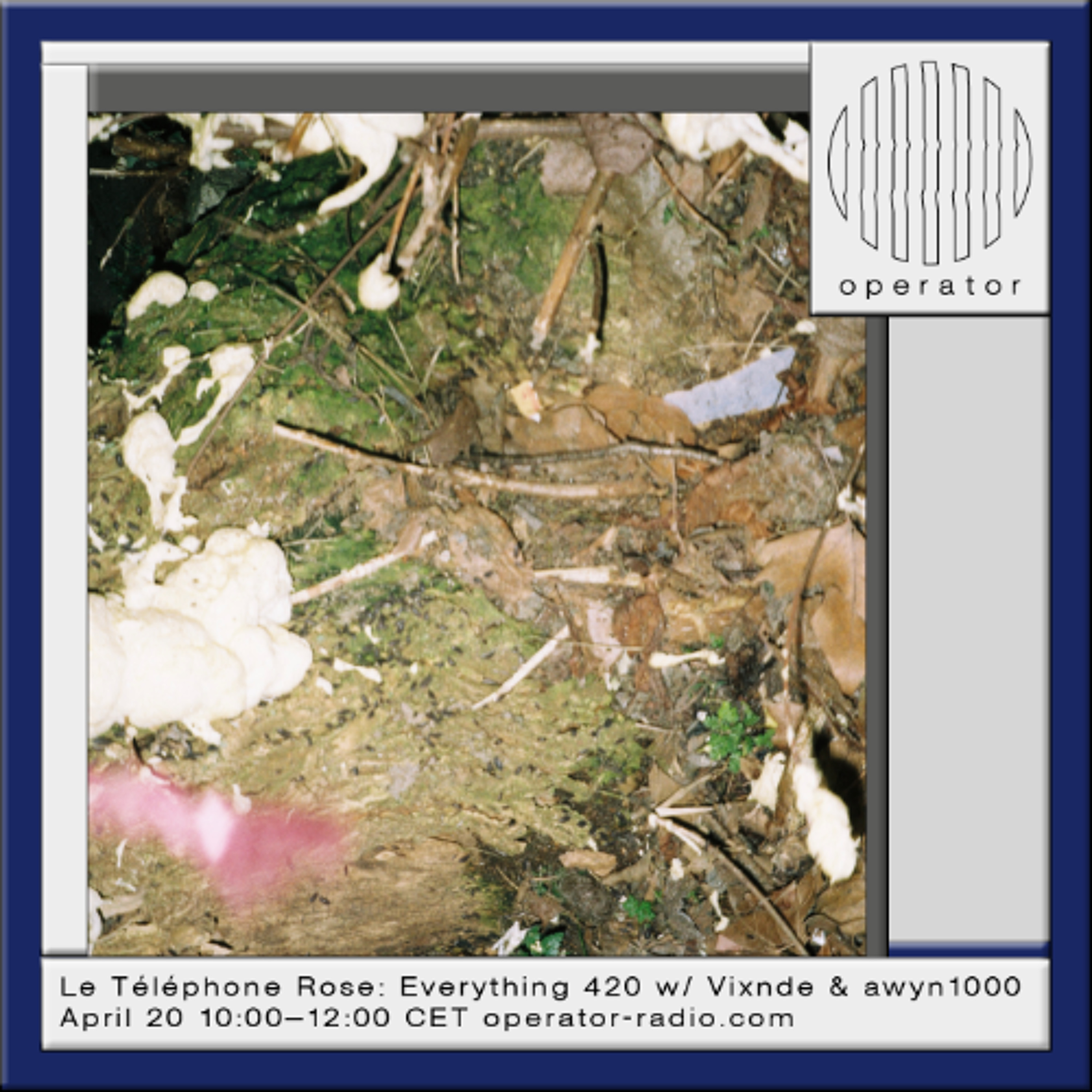 Le Téléphone Rose: Everything 420 w/ Vixnde & awyn1000 - 20th April 2026 episode artwork