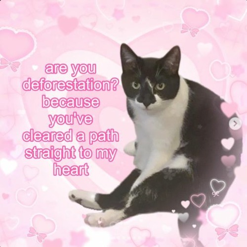 I was always like this, you just didn't ask.